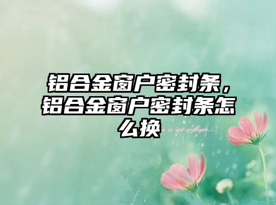 鋁合金窗戶密封條，鋁合金窗戶密封條怎么換