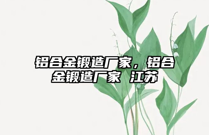 鋁合金鍛造廠家，鋁合金鍛造廠家 江蘇