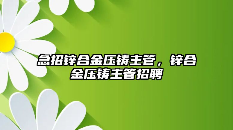 急招鋅合金壓鑄主管，鋅合金壓鑄主管招聘