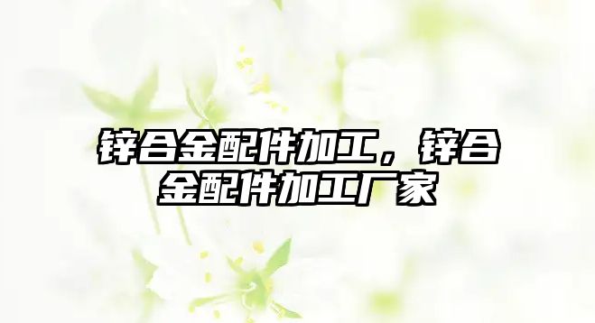 鋅合金配件加工，鋅合金配件加工廠家