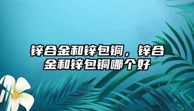 鋅合金和鋅包銅，鋅合金和鋅包銅哪個(gè)好