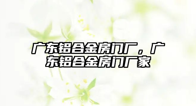 廣東鋁合金房門廠，廣東鋁合金房門廠家