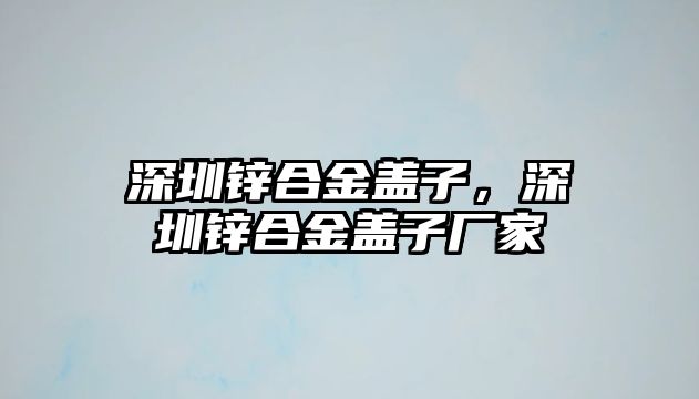 深圳鋅合金蓋子，深圳鋅合金蓋子廠家