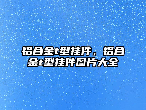 鋁合金t型掛件，鋁合金t型掛件圖片大全