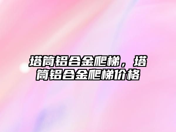 塔筒鋁合金爬梯，塔筒鋁合金爬梯價格