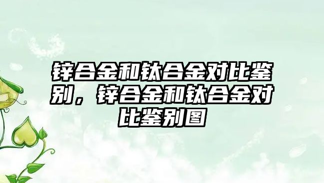 鋅合金和鈦合金對比鑒別，鋅合金和鈦合金對比鑒別圖