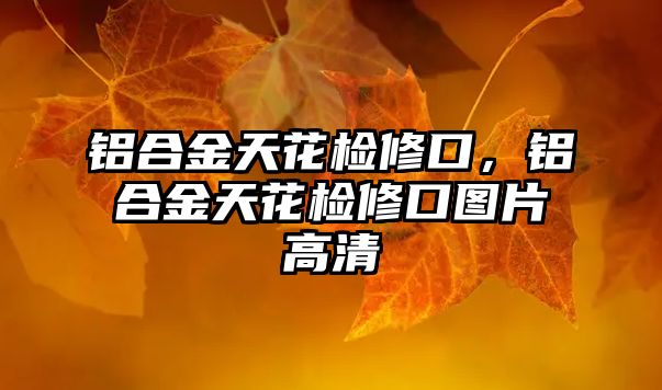 鋁合金天花檢修口，鋁合金天花檢修口圖片高清