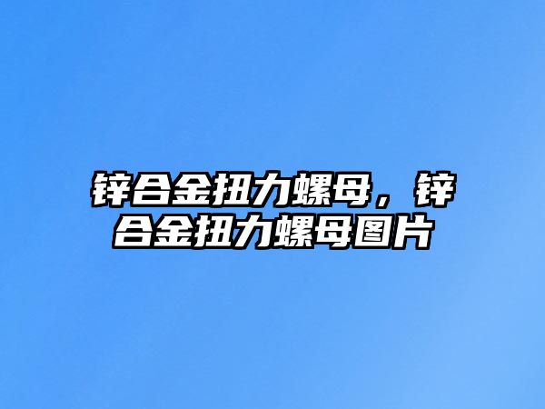 鋅合金扭力螺母，鋅合金扭力螺母圖片