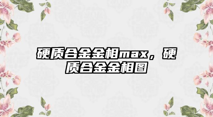 硬質(zhì)合金金相max，硬質(zhì)合金金相圖