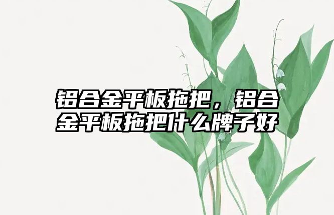 鋁合金平板拖把，鋁合金平板拖把什么牌子好