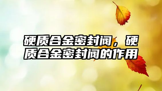 硬質合金密封閥，硬質合金密封閥的作用