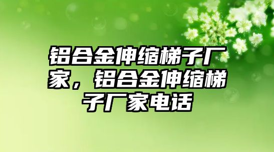 鋁合金伸縮梯子廠家，鋁合金伸縮梯子廠家電話