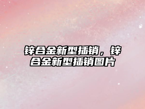 鋅合金新型插銷，鋅合金新型插銷圖片