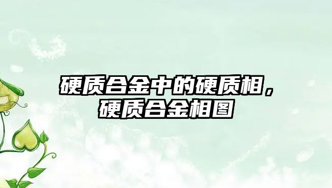 硬質(zhì)合金中的硬質(zhì)相，硬質(zhì)合金相圖