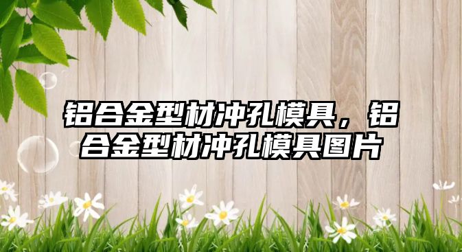 鋁合金型材沖孔模具，鋁合金型材沖孔模具圖片