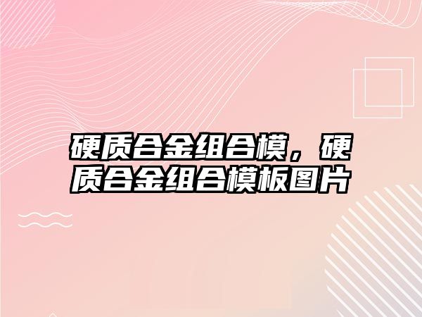 硬質合金組合模，硬質合金組合模板圖片